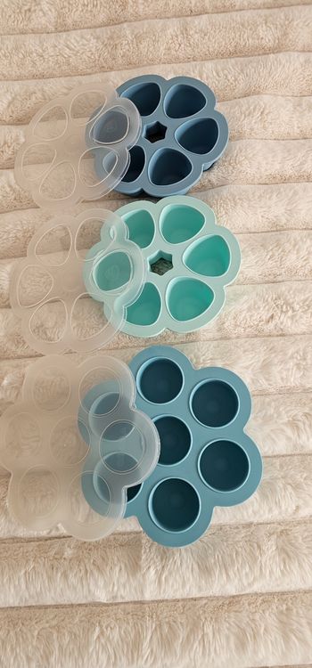 Lot de 3 fleurs 🌸 multiportions BEABA