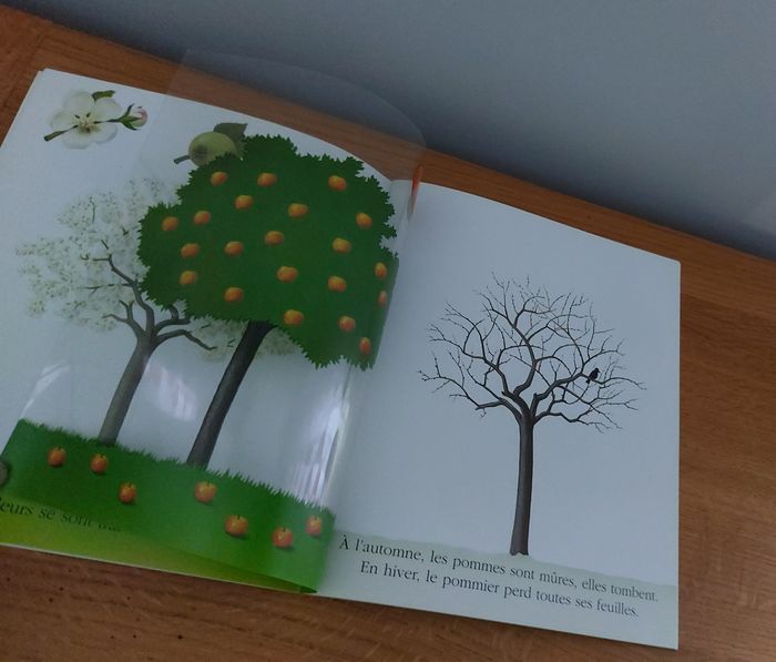 Cache cache avec Les fruits du jardin - photo numéro 3