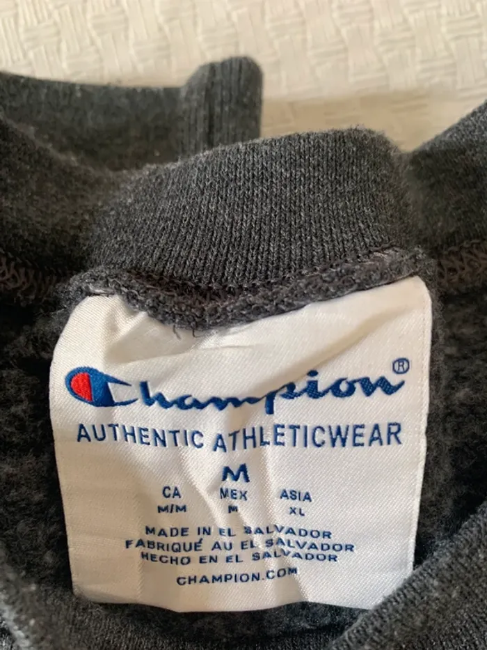 Sweat shirt Champion DUKE - Look universitaire garanti !! - photo numéro 2