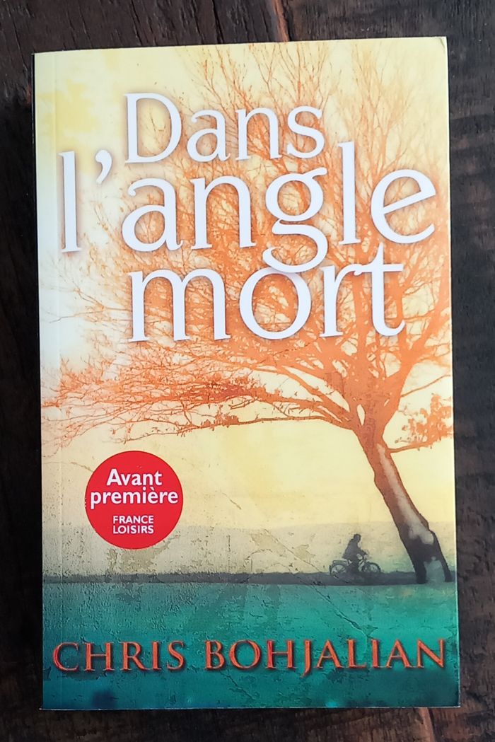 livre "Dans l'angle mort"