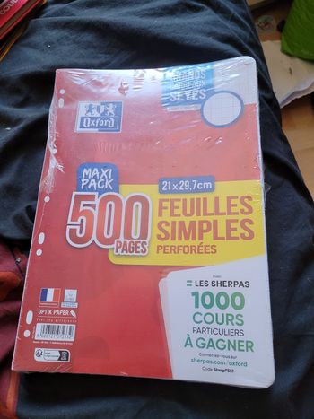 500 pages feuilles simples perforées 21 x 29.7 cm oxford grands carreaux seyes