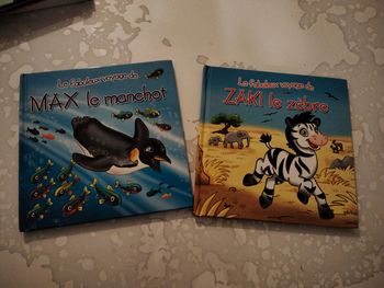 Lot de 2 fabuleux voyages