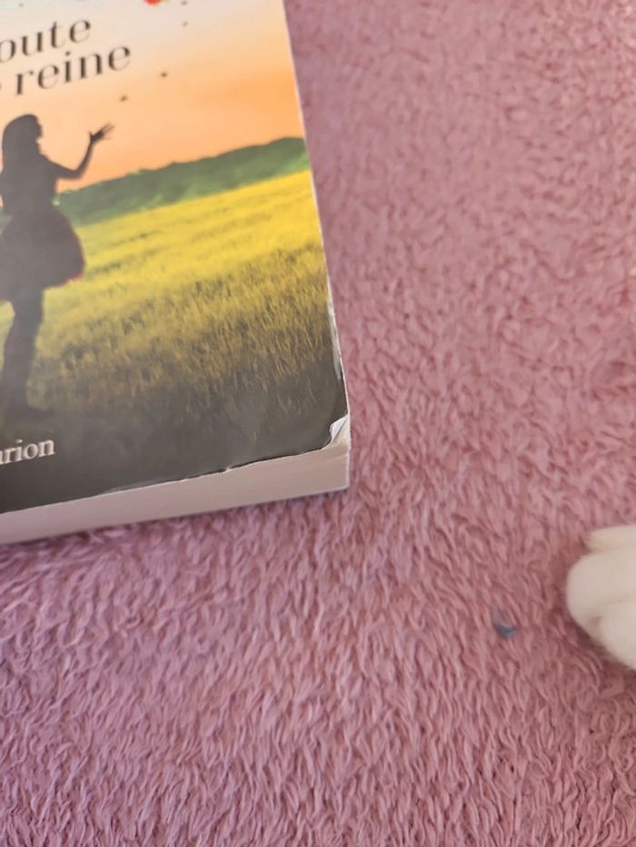 Livre - photo numéro 8