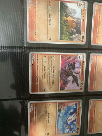 Lot de cartes pokemon 