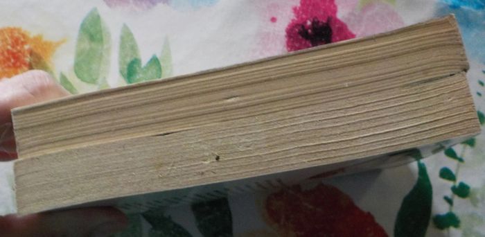 2 San-Antonio Descendez-le à la prochaine et Des gueules d'enterrement - photo numéro 6