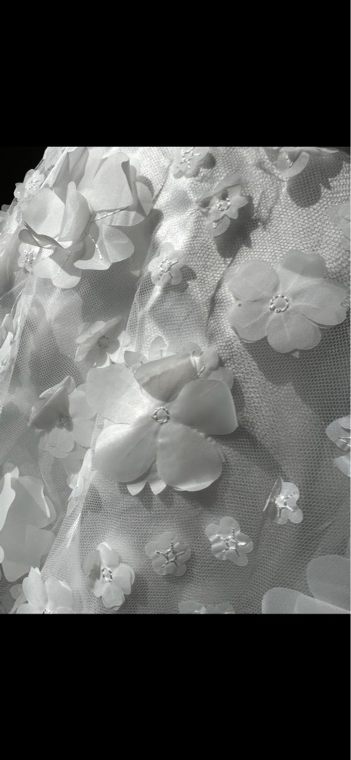 Robe - photo numéro 3