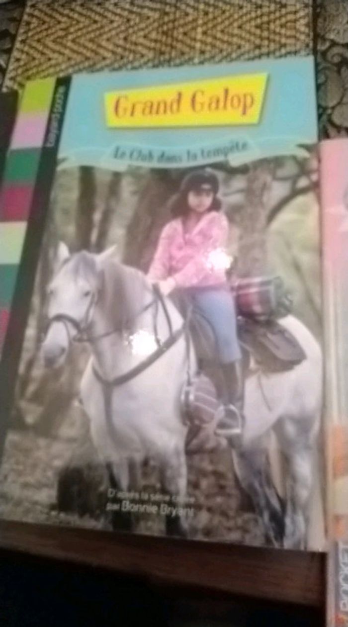 Lot de livres - photo numéro 2