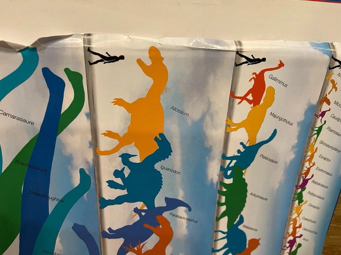 Livre sur les dinosaures 🦖 - photo numéro 6