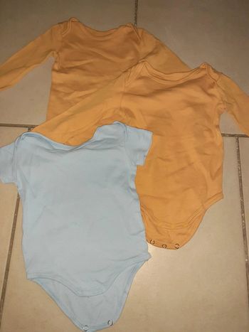 3 Bodies
