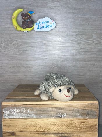 BK101 doudou hérisson 🦔 bukowski 