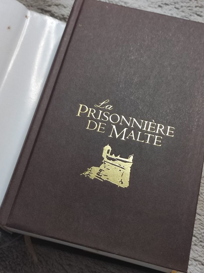 La prisonnière de malte de David ball - photo numéro 3