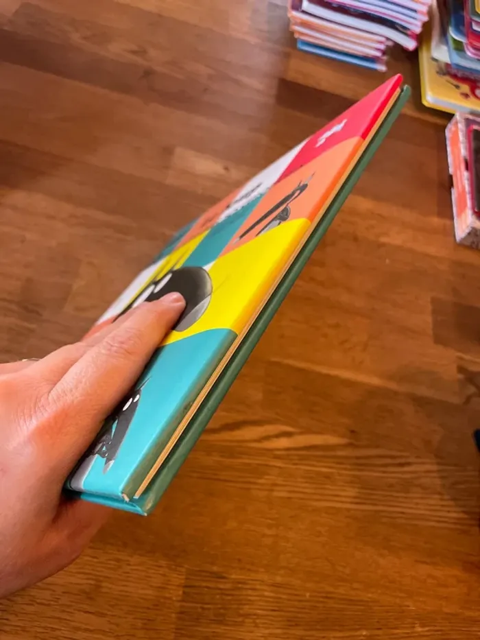 Livre couverture molletonné Mes grands Albums Le loup qui apprivoisait ses émotions - photo numéro 4