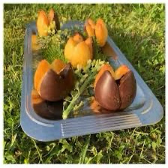 Moule bouton de roses Guy Demarle - photo numéro 3