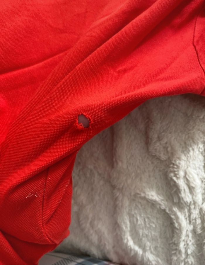 Polo, homme - photo numéro 10