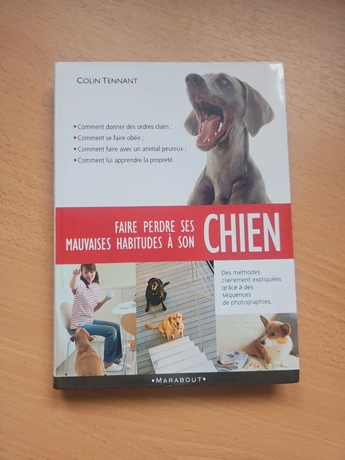 Faire perdre ses mauvaises habitudes à son chien