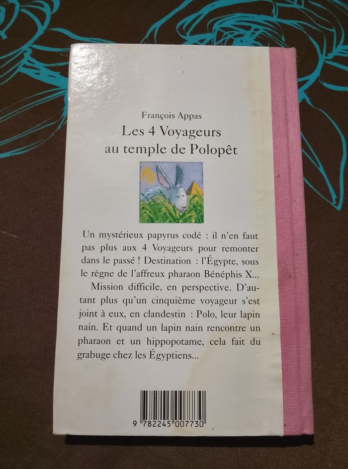 Les 4 voyageurs - photo numéro 2