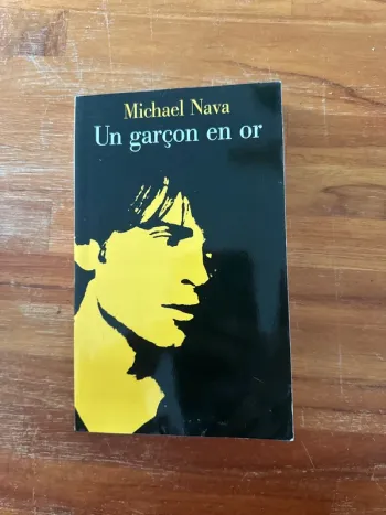 Livre un garçon en or