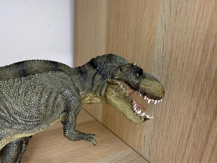 Tyrannosaures papo - photo numéro 2