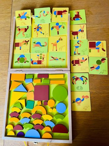 Djeco - Tangram magnétique Géo Savane