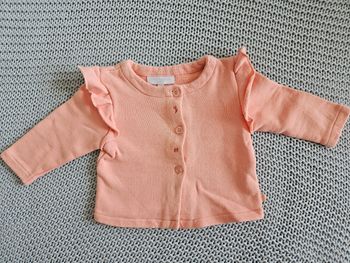 Veste saumon
