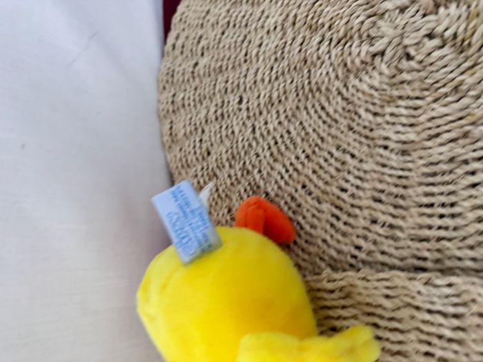 Les P'Tits Gardenous 14 Cm - Canard gipsy - photo numéro 4