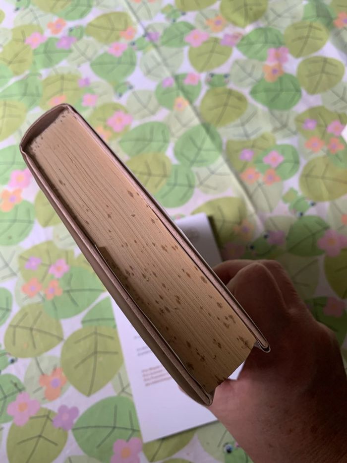 Lot romans - photo numéro 19