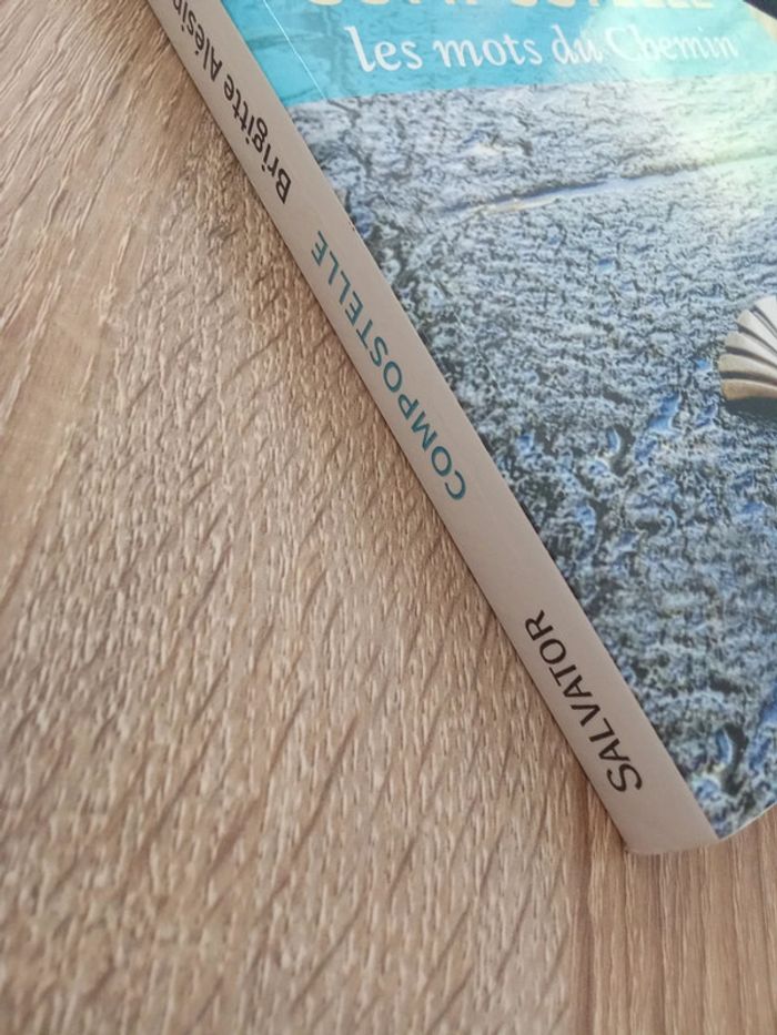 Brigitte Alésinas 🪅 Compostelle Les mots du Chemin - photo numéro 4