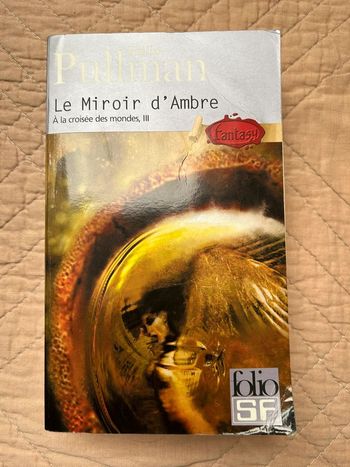 Roman Le miroir d’Ambre tome 3