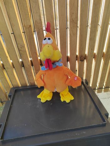 Coq qui chante et bouge les pattes et les ailes