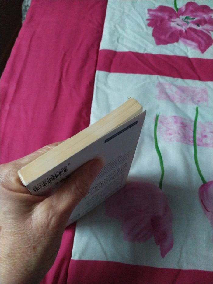 La rêveuse d'Ostende d'Eric-Emmanuel Schmitt - photo numéro 6