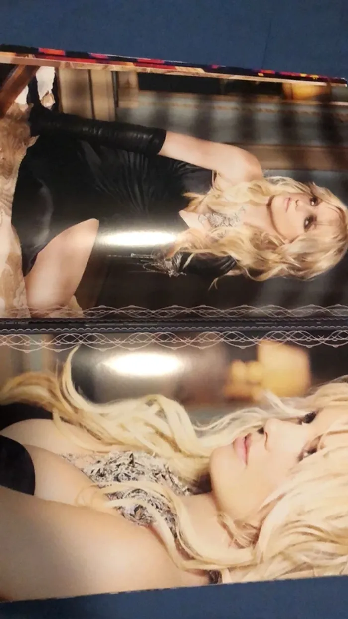 Book programme femme fatale Britney spears - photo numéro 9