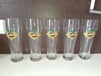 Lot 5 verres à bière 50cl