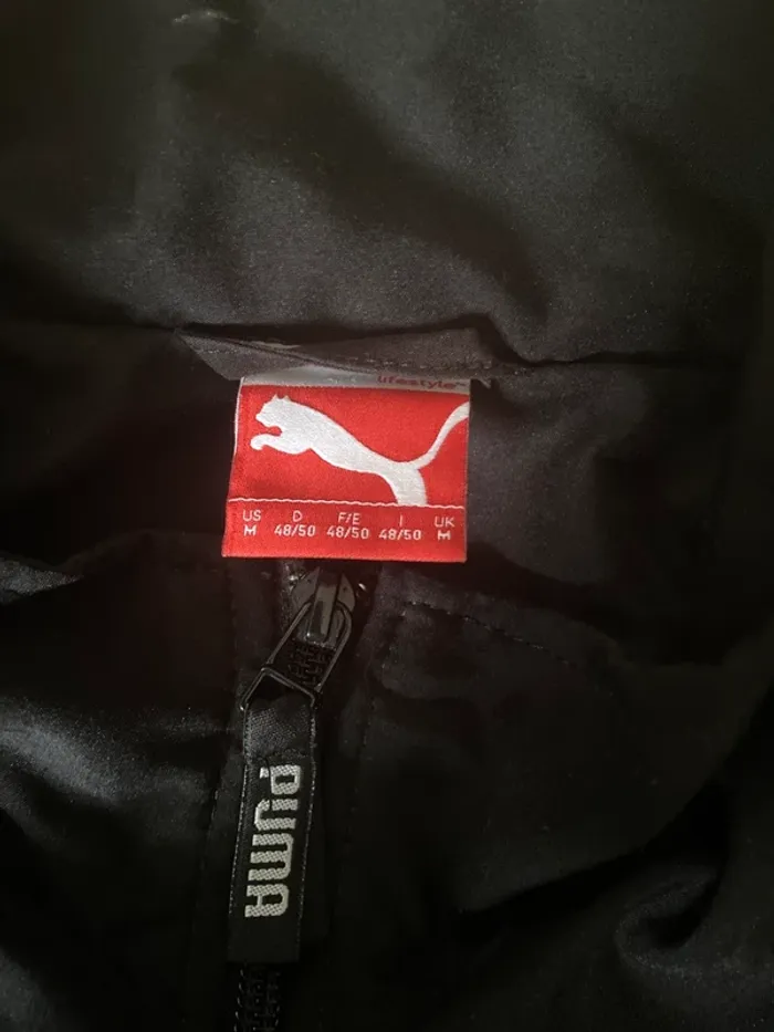 Veste - photo numéro 2