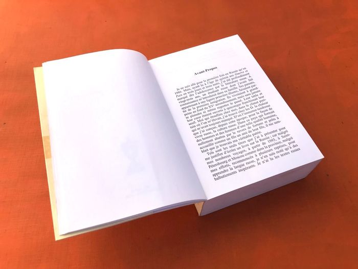 Dominique Fernandez  Dictionnaire amoureux de la Russie - photo numéro 6