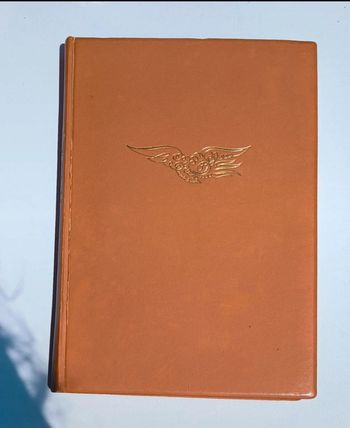 Livre le coeur est un chausseur solitaire