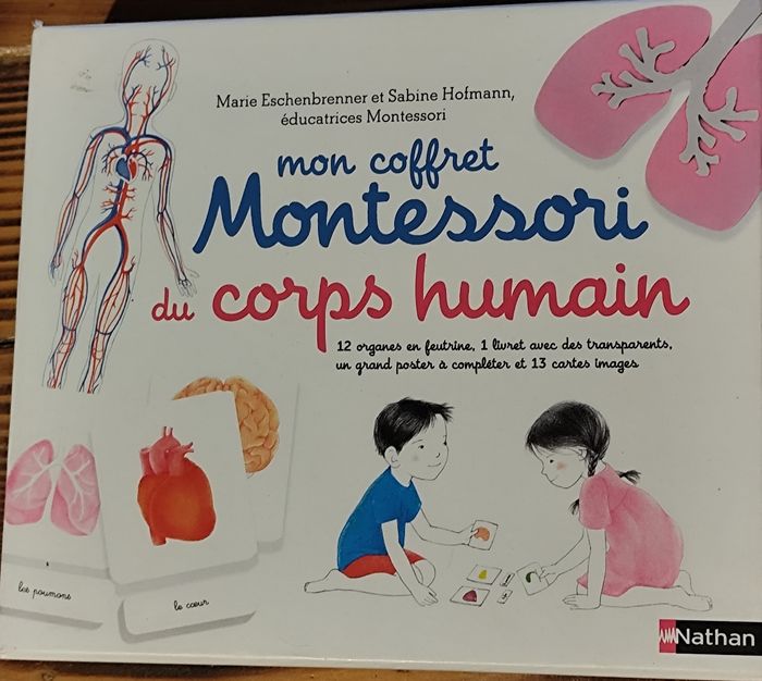Le kit Montessori pour explorer le corps humain