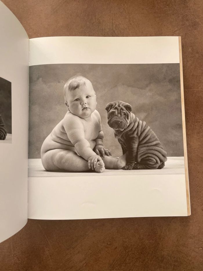 Anne Geddes un monde d’enfants - photo numéro 3