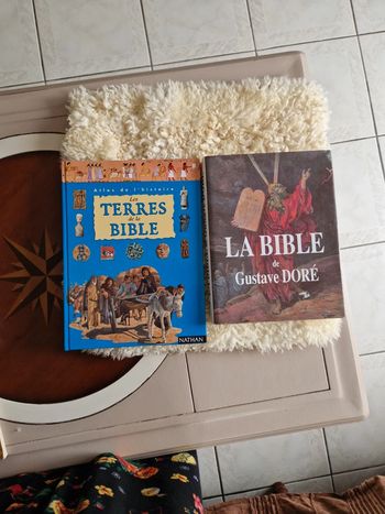 Lot de livres sur la bible 🙏
