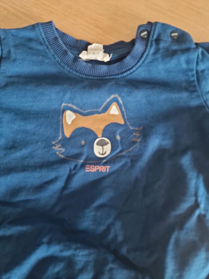 Sweat et pantalon esprit tbe comme neuf 12 mois 74cm - photo numéro 2