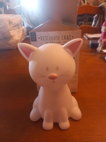 Veilleuse chat