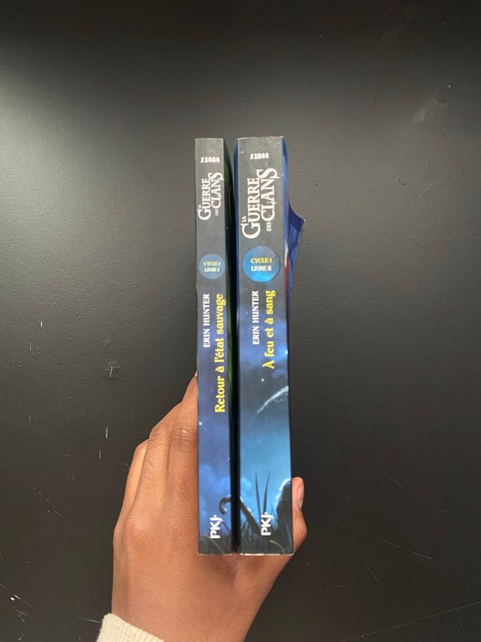 Livre la guerre des clans