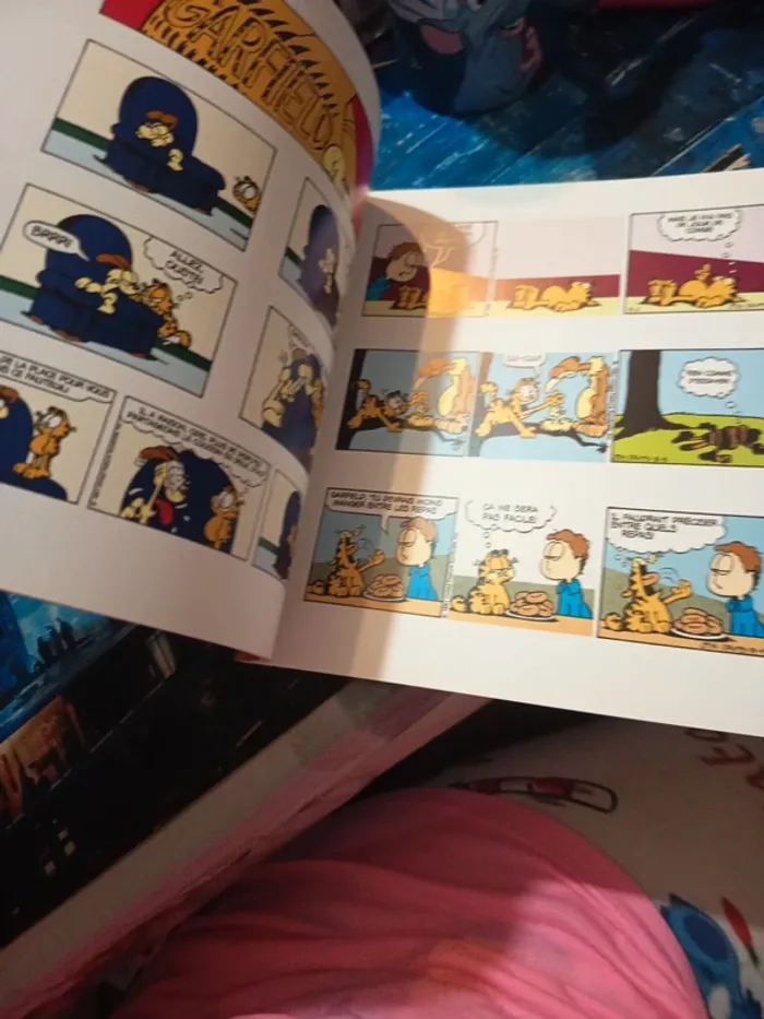 Garfield 2 - photo numéro 5