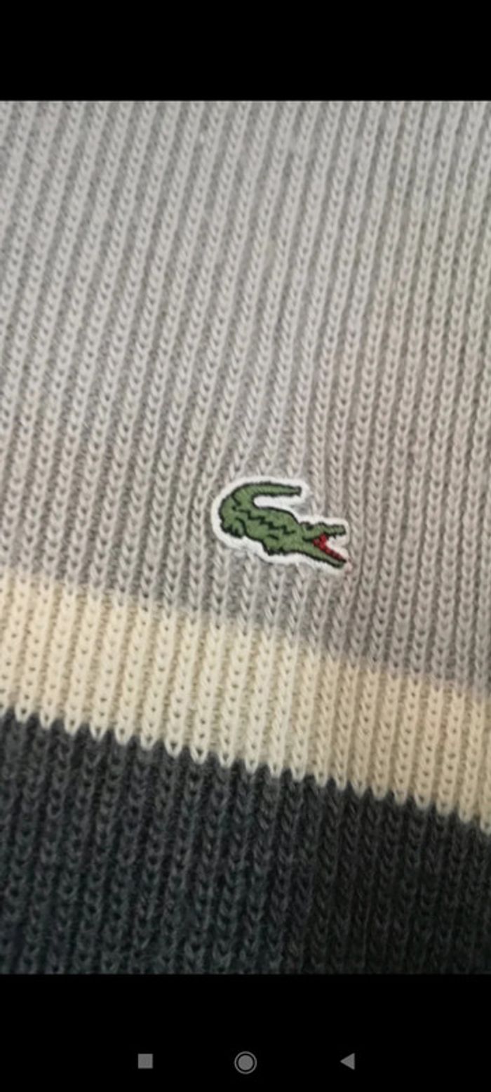 Pull Lacoste - photo numéro 2