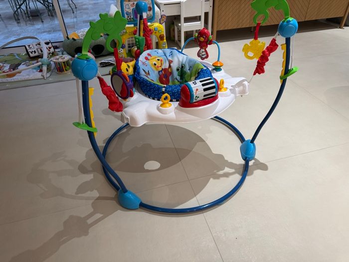 Jumperoo Baby Einstein - photo numéro 2
