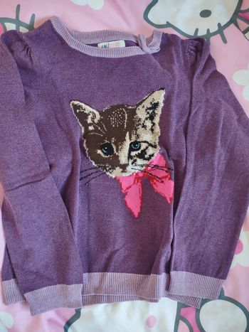 Pull fin chat 🐱 H &M