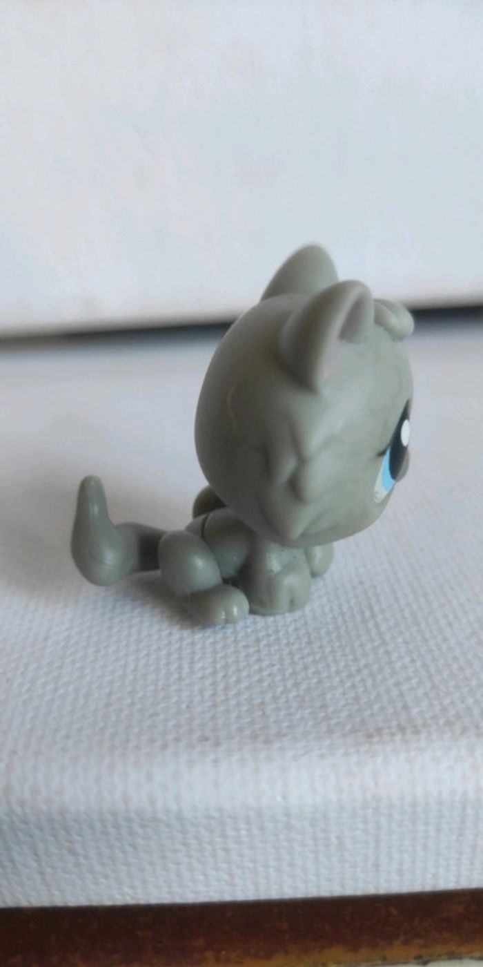 My littlest petshop chat snowshoe 270 - photo numéro 3