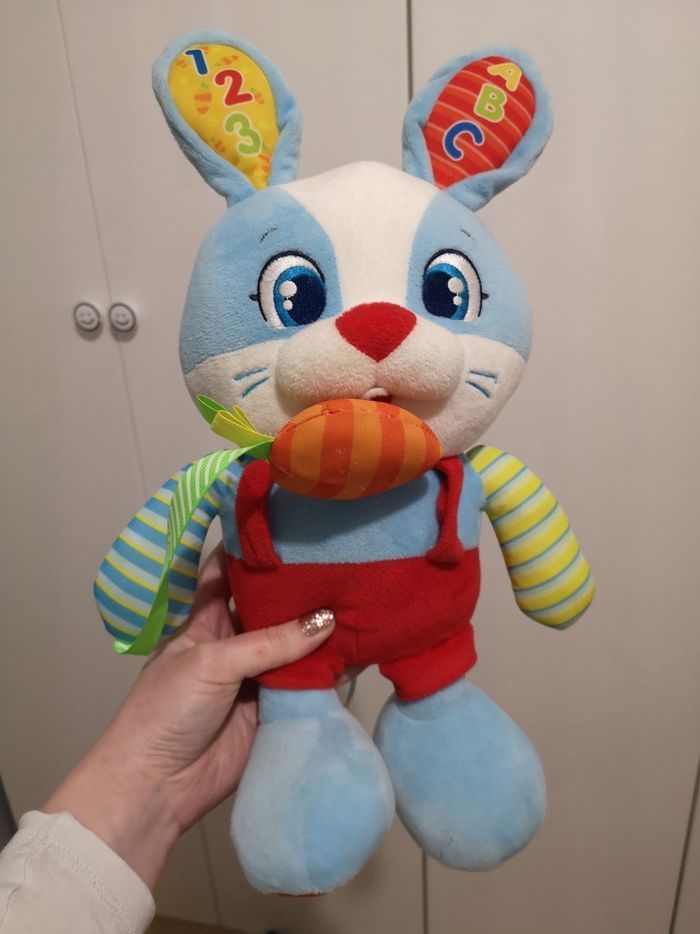 Valentin mon petit lapin