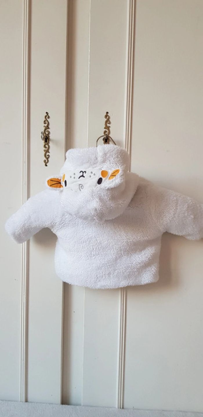 Ensemble DPAM 1 mois - photo numéro 5