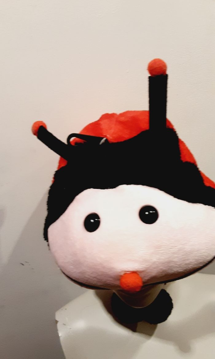 Bonnet animaux pour enfant modèle  coccinelle neuf sans étiquette 🏷 - photo numéro 3