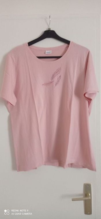 TS MC motif plume
